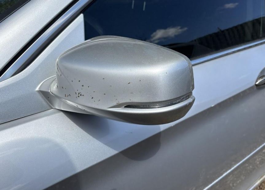 Rétroviseur extérieur gauche d'origine (OEM) d'occasion, sans surveillance d'angle mort, pour Honda Accord berline 2013-2017.