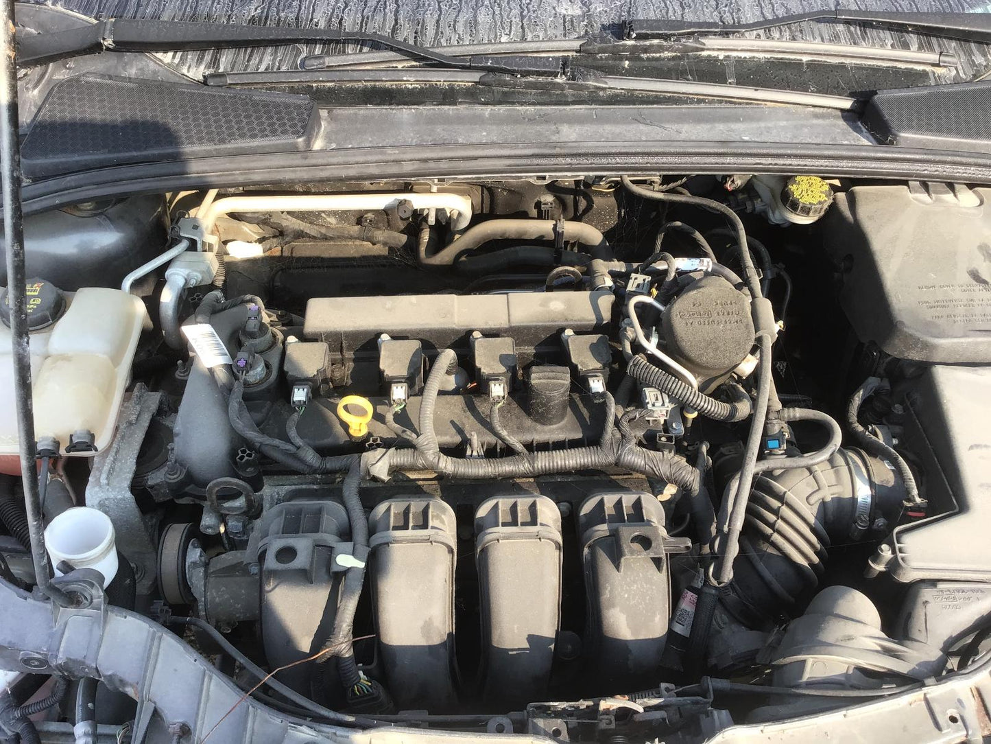 Alternateur d'origine d'occasion (sans turbo) compatible avec Ford Focus 2012-2018 (références : BV6Z10346E, BV6Z10346F, BV6T10300EA, BV6T10300EB).