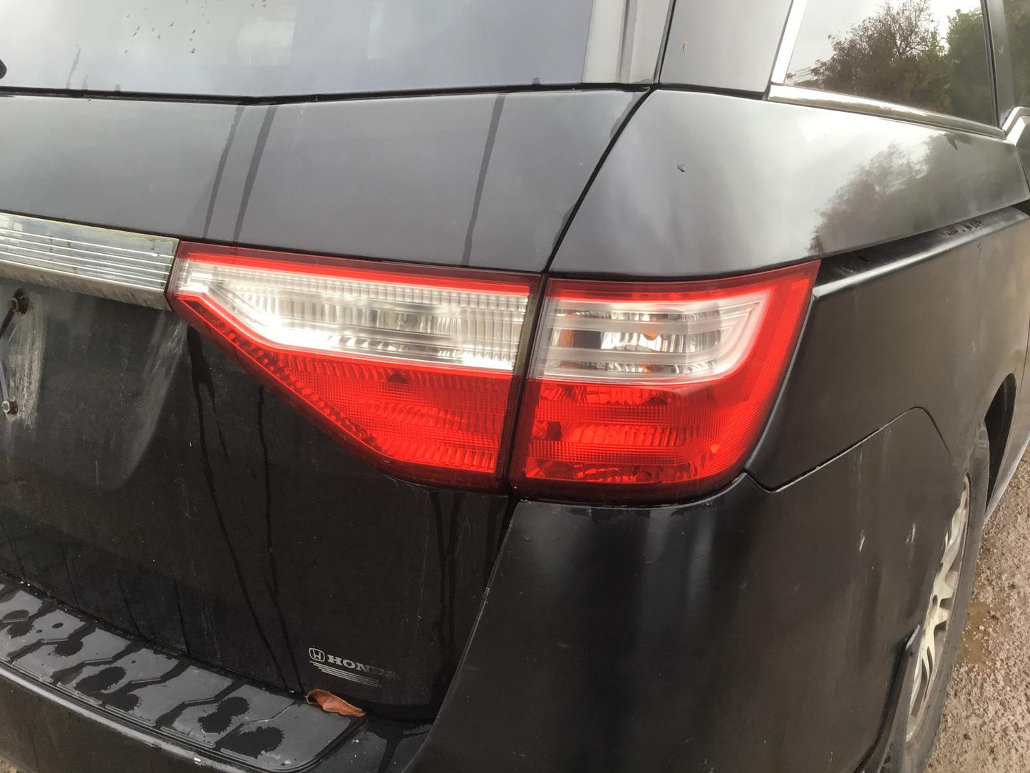 Feu arrière droit d'occasion OEM Odyssey 2011-2013 33500TK8A01