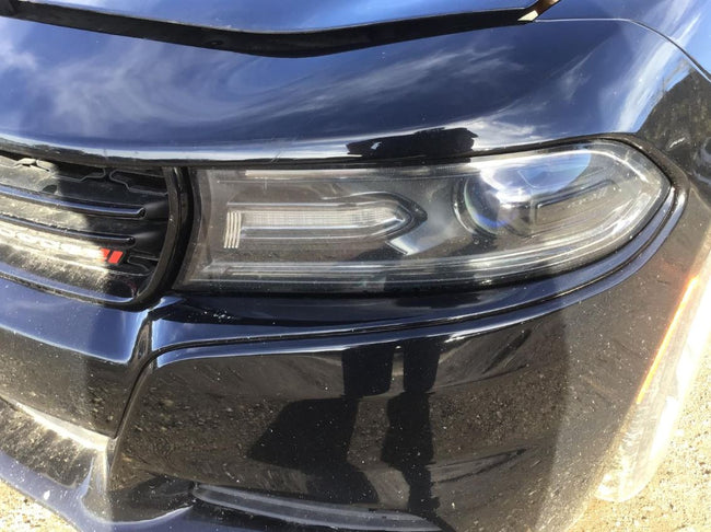 Phare halogène côté conducteur d'occasion pour Dodge Charger 2015 68214397AB
