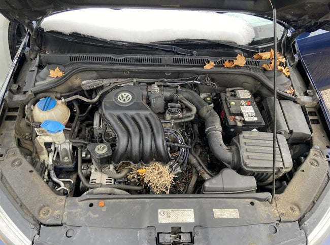 Alternateur OEM d'occasion pour VW Jetta 2.0L 2011-2016, VW EOS 3.2L 2007-2008 06F903023E 06F903023EX 06F903023DX