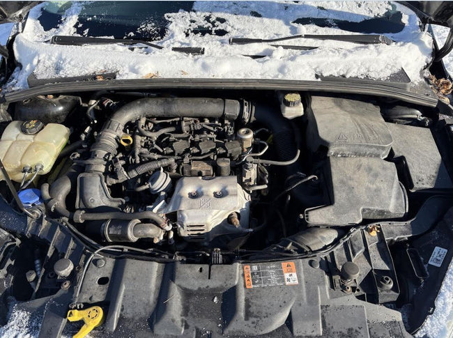 Démarreur d'origine d'occasion 1.0L compatible avec Ford Focus 2015-2018 CV6Z11002E CV6T11000GD CV6T11000GE