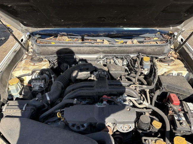 Démarreur d'origine d'occasion compatible avec Subaru Legacy 2.5L (2008-2014) et Legacy 3.6L (2015) - Références : 23300AA59B et 23300AA59A